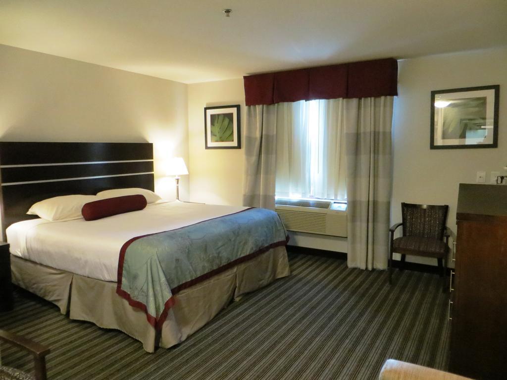 Super 8 By Wyndham Saskatoon Near Downtown Hotel Exterior photo